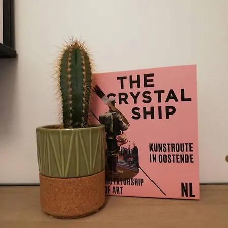 Apartmán Vlak Aan Zee